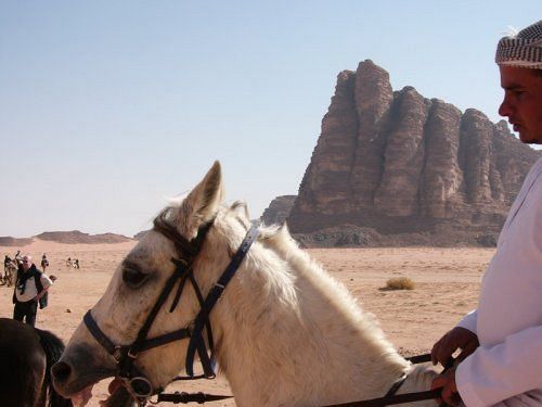 Captain'S Desert Camp Ram Vadisi Dış mekan fotoğraf